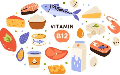 Produkty bogate w witaminę B12: ryby, mięso, nabiał, jaja, krewetki. Idealne, gdy masz niedobór witaminy B12.