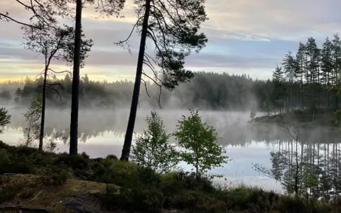 Tidig morgon vid en sjö i Glaskogen, dimma sveper över vattnet. En perfekt plats för glaskogen vandring.