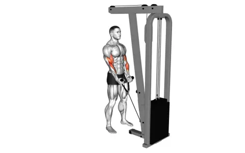 Mann macht Hammer Curls am Kabelzug, um seine Bizeps zu trainieren.