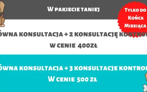 Ile kosztuje behawiorysta dla psa? Sprawdź ceny i porady przed wizytą