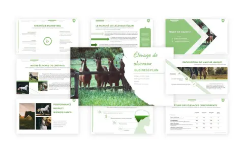 Présentation d'un plan d'affaires pour un élevage de chevaux, incluant des analyses de marché, des stratégies marketing et une proposition de valeur unique.