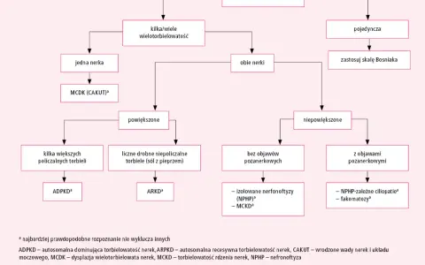 Schemat diagnostyczny torbieli nerek. Rozróżnia torbiele pojedyncze i mnogie, powiększone i niepowiększone, z objawami lub bez, prowadząc do rozpoznania np. torbielowatości nerek.