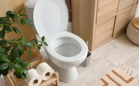 Toilettes blanches avec couvercle ouvert, rouleaux de papier toilette sur un support en bois, plante verte et meuble de rangement en bois. La largeur du WC est standard.