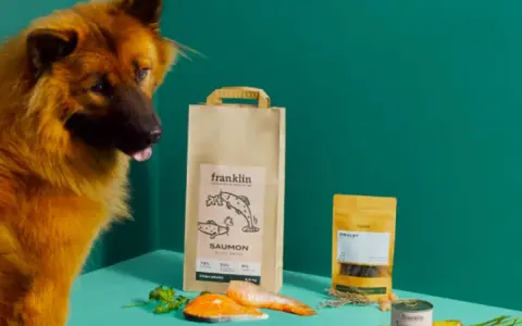 Un chien regarde des produits Franklin, dont un sac de saumon. Avis vétérinaire positif pour Franklin pet food.
