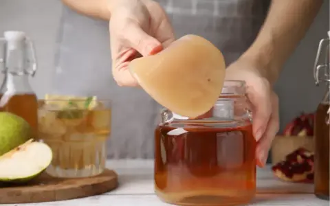 Kombucha: Jak wyhodować domową kulturę SCOBY krok po kroku