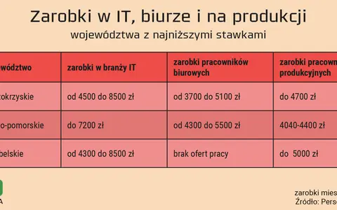 Pracownik IT: Kim jest? Zarobki, ścieżki kariery i przyszłość branży