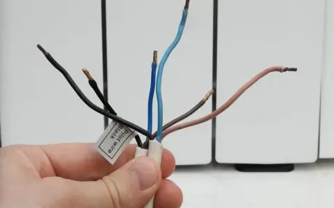 Main d'une personne tenant des fils dénudés d'un radiateur électrique. Une étiquette indique "Pilot wire Black".