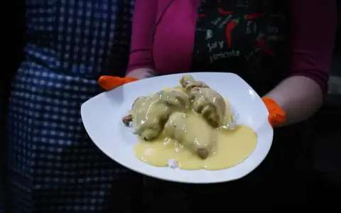 Porcja potrawki z kurczaka w kremowym sosie, podana na ryżu. Danie prezentowane na białym talerzu, trzymanym przez osobę w pomarańczowych rękawiczkach.