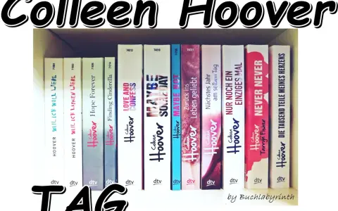 Reihe von Colleen Hoover Büchern auf einem Regal, mit Titeln wie "Never Never" und "Maybe Someday".