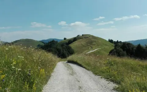 Sentiero sterrato sale verso la malga Garda, tra prati fioriti e dolci colline verdi sotto un cielo azzurro.