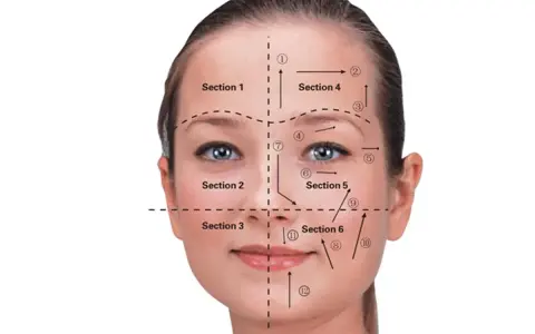 Guía de secciones y flechas para el drenaje linfático facial.