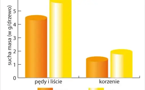 Jaki nawóz do sadu na wiosnę, aby uniknąć słabych plonów?
