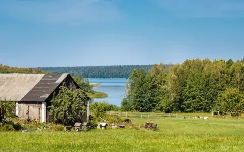 Działka siedliskowa nad jeziorem, z drewnianą stodołą, zieloną łąką i lasem w tle.