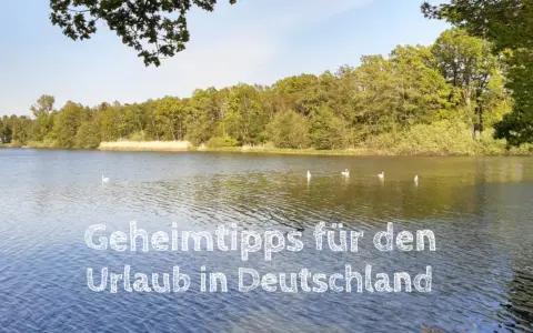 Idyllischer See mit Bäumen und Schwänen. Ein Geheimtipp für den Kurztrip Deutschland.