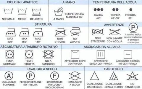 Simboli per capire come funziona una lavatrice: cicli, temperature, stiratura, asciugatura e lavaggio a secco.
