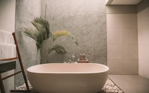 Elegante bañera exenta, rodeada de piedras blancas y una planta tropical. Muestra varios tipos de bañeras para un baño de lujo.