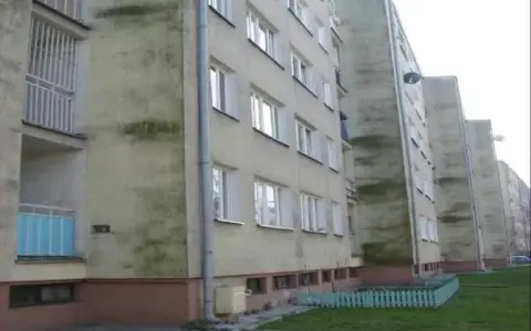 Dlaczego elewacja zielenieje? Odkryj przyczyny i skutki zanieczyszczeń
