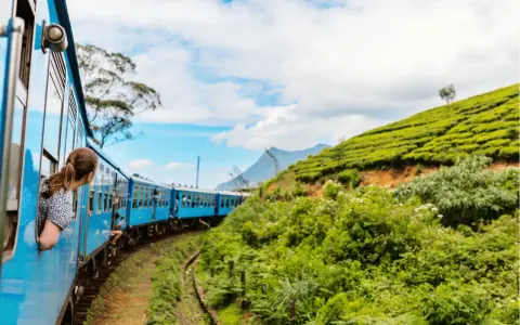 Dziewczynka wychyla się z okna niebieskiego pociągu, podziwiając zielone plantacje herbaty. Sri Lanka pogoda wrzesień sprzyja takim widokom.