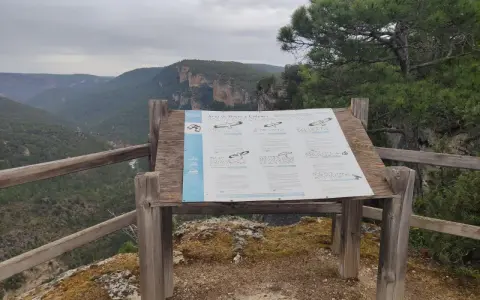 Mirador en el **zaorejas alto tajo**, con panel informativo sobre aves de hoces y cañones. Paisaje de montañas verdes y cielo nublado.