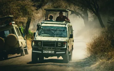 Dwa samochody terenowe jadące w pyle podczas tanzania safari. Ludzie stoją w otwartych dachach, obserwując dziką przyrodę.