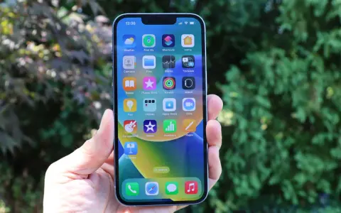 Mano sujetando un iPhone 14 con pantalla llena de iconos de apps, con árboles verdes desenfocados de fondo.