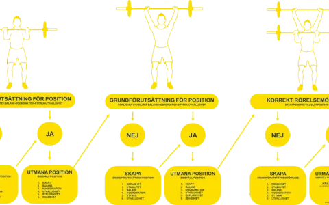 Diagram som visar hur man bygger dynamisk styrka genom att utvärdera grundförutsättningar och utmana positioner.