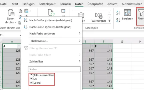Excel-Filtermenü mit Optionen wie "Nach Größe sortieren", "Nach Farbe filtern" und "Zahlenfilter". Die Auswahl "(Leere)" ist markiert, was darauf hindeutet, dass die Tabelle leer ist.