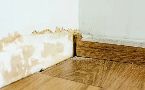 Dégâts sur un mur blanc dus à une infiltration d'eau, avec des traces de moisissure et de peinture écaillée près du sol et de la plinthe en bois.