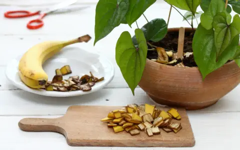 Nawóz z bananów do jakich roślin? Skórki bananów posiekane na desce i talerzu, gotowe do użycia jako naturalny nawóz dla roślin doniczkowych.