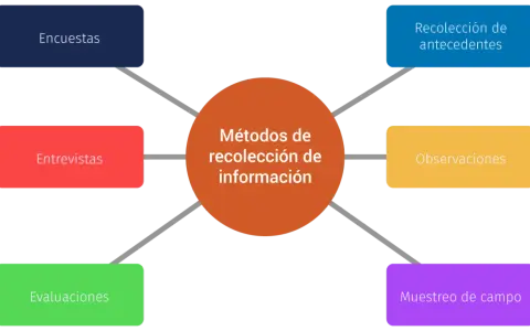 Diagrama de los tipos de investigación de mercados: encuestas, entrevistas, evaluaciones, recolección de antecedentes, observaciones y muestreo de campo.