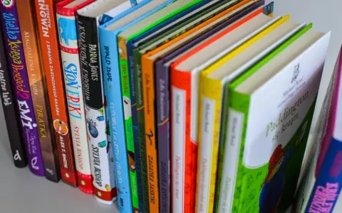 Kolorowe książki dla 6 latka, w tym "Paddington się krząta" i przygody detektywów.