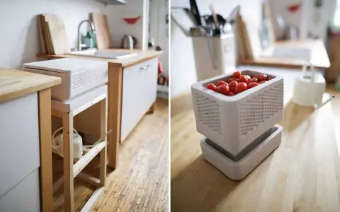 Un frigo sans électricité, un concept ingénieux pour conserver les aliments. Ici, des tomates cerises dans un récipient ajouré, sur un plan de travail en bois.