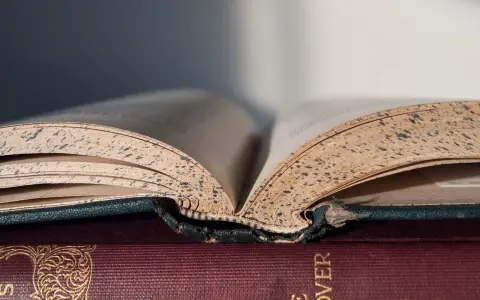 Stare, pożółkłe karty otwartej księgi, jak nuty w tonacji e-dur, opowiadają historie.