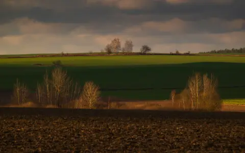 Zachód słońca nad polami, tworzący malownicze plany fotograficzne. Drzewa na tle zielonych pól i ciemnego nieba.