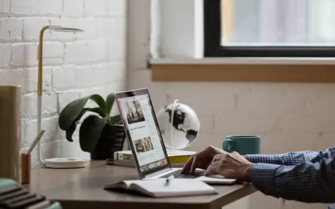 Person tippt auf Laptop, daneben stehen Lampe, Pflanze, Globus und Tasse.