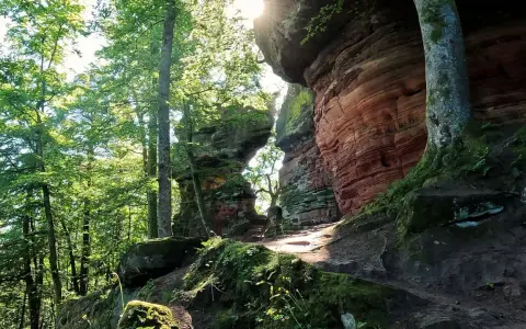 Sonnenstrahlen brechen durch das Blätterdach auf einen Pfad, der zu den roten Sandsteinfelsen führt. Eine perfekte Kulisse für eine altschlossfelsen wanderung.