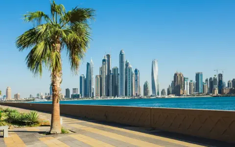 Palma na tle drapaczy chmur w Dubaju. Idealna pogoda w Dubaju w grudniu, błękitne niebo i spokojne morze.