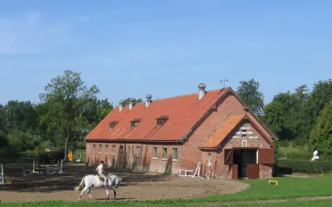 Stadniny koni w Polsce: Gdzie historia spotyka jeździecką pasję?