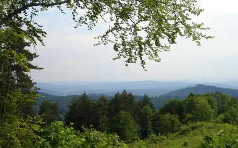 Zielone wzgórza i lasy w górach sanocko-turczańskich, z gałęziami drzew w tle.