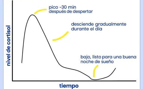 Gráfico muestra cómo regular el cortisol: pico al despertar, desciende durante el día, bajo para dormir bien.