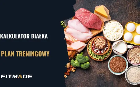 Kalkulator białka i plan treningowy. Różnorodne źródła białka: mięso, ryby, jajka, nabiał, rośliny strączkowe, płatki owsiane, ryż, kasza.
