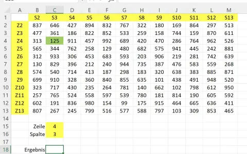 Excel-Tabelle zeigt Zahlenwerte. Zeile 4, Spalte 3 (C4) hat den Wert 125. Hier wird die excel adresse einer zelle ausgegeben.