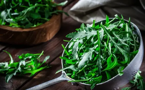 Frischer Rucola in einem Sieb, bereit für eine gesunde Mahlzeit. Daneben ein Holzschälchen mit mehr Rucola.