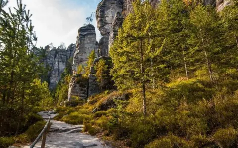 Kamienista ścieżka prowadzi przez skalne miasto w Czechach, otoczone gęstym lasem iglastym i wysokimi, strzelistymi formacjami skalnymi.