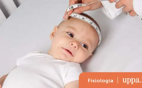 Misurazione della circonferenza cranica di un neonato, utile per la tabella crescita neonato prematuro.