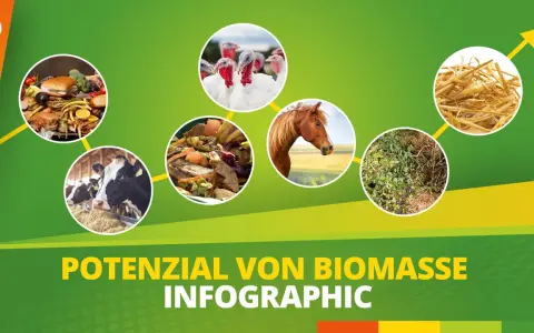 Biomasse Beispiele: Kühe, Pferde, Truthähne, Essensreste, Pflanzen und Stroh zeigen das Potenzial von Biomasse.