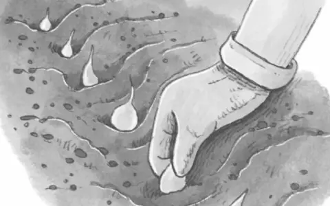 Mano guantata che semina bulbi nel terreno, un'attività tipica della luna di marzo per preparare il giardino.