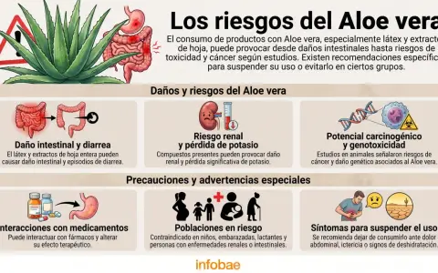 Infografía sobre los riesgos del Aloe vera, incluyendo contraindicaciones del aloe vera en la piel, daño intestinal, riesgo renal y potencial carcinogénico.