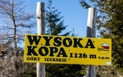 Żółta tablica informuje o szlaku na Wysoką Kopę (1126 m n.p.m.) w Górach Izerskich.
