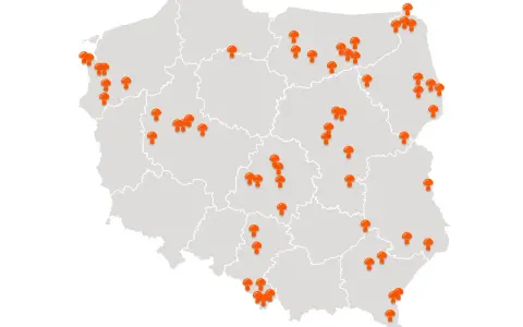 Gdzie na grzyby z noclegiem? TOP miejsca i porady eksperta